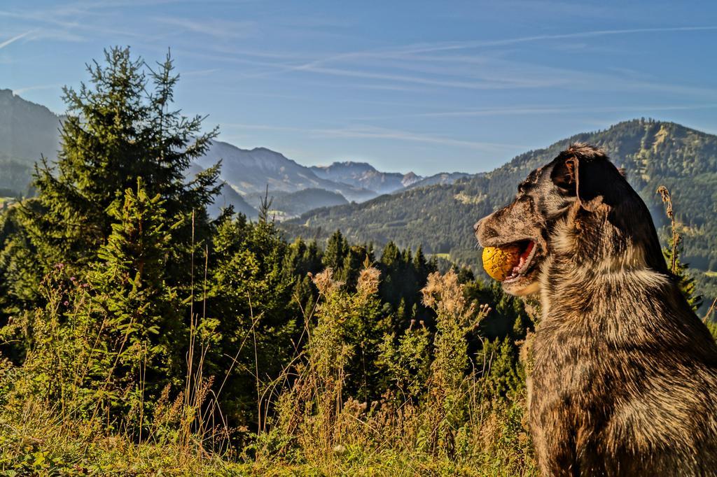 Alpenhof Reuterwanne Hotel Wertach Buitenkant foto
